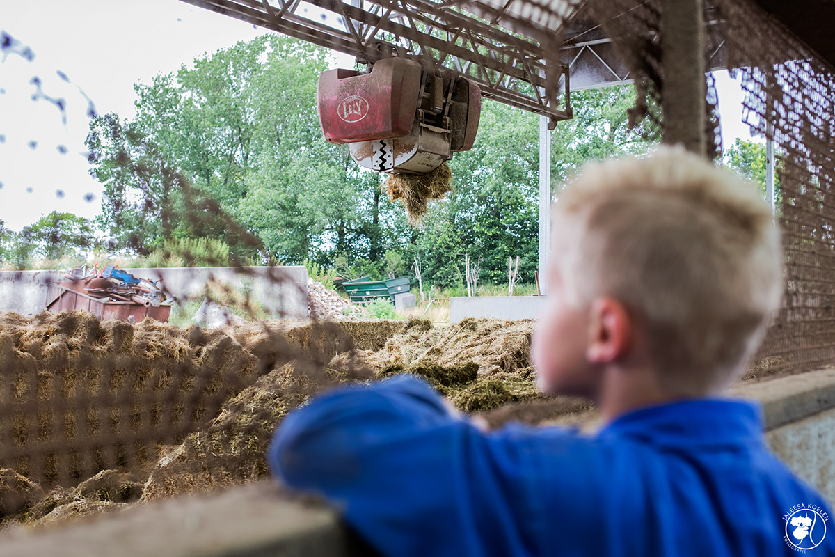 De Koeientuin – Revolutionaire stal voor biologisch melkvee in de Achterhoek De Koeientuin – Revolutionaire stal voor biologisch melkvee in de Achterhoek