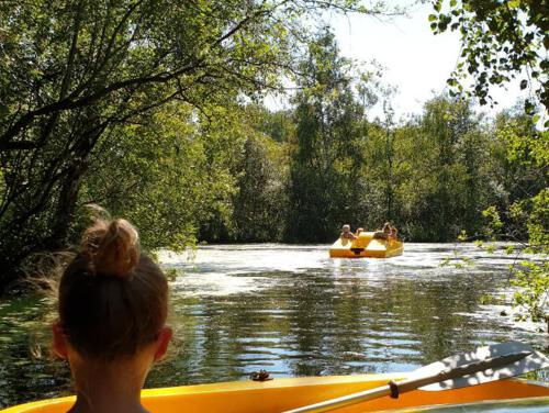 De Leemputten - natuurpark in de Achterhoek