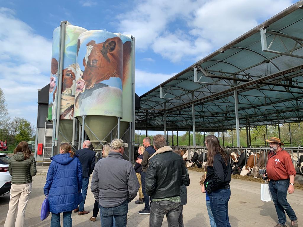 Rondleiding excursie koeken Achterhoek Rondleiding excursie koeien Achterhoek