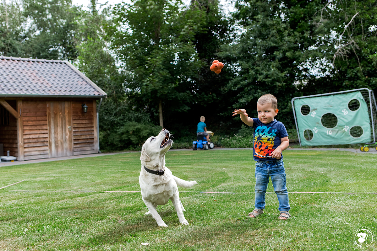 Spelen met hond