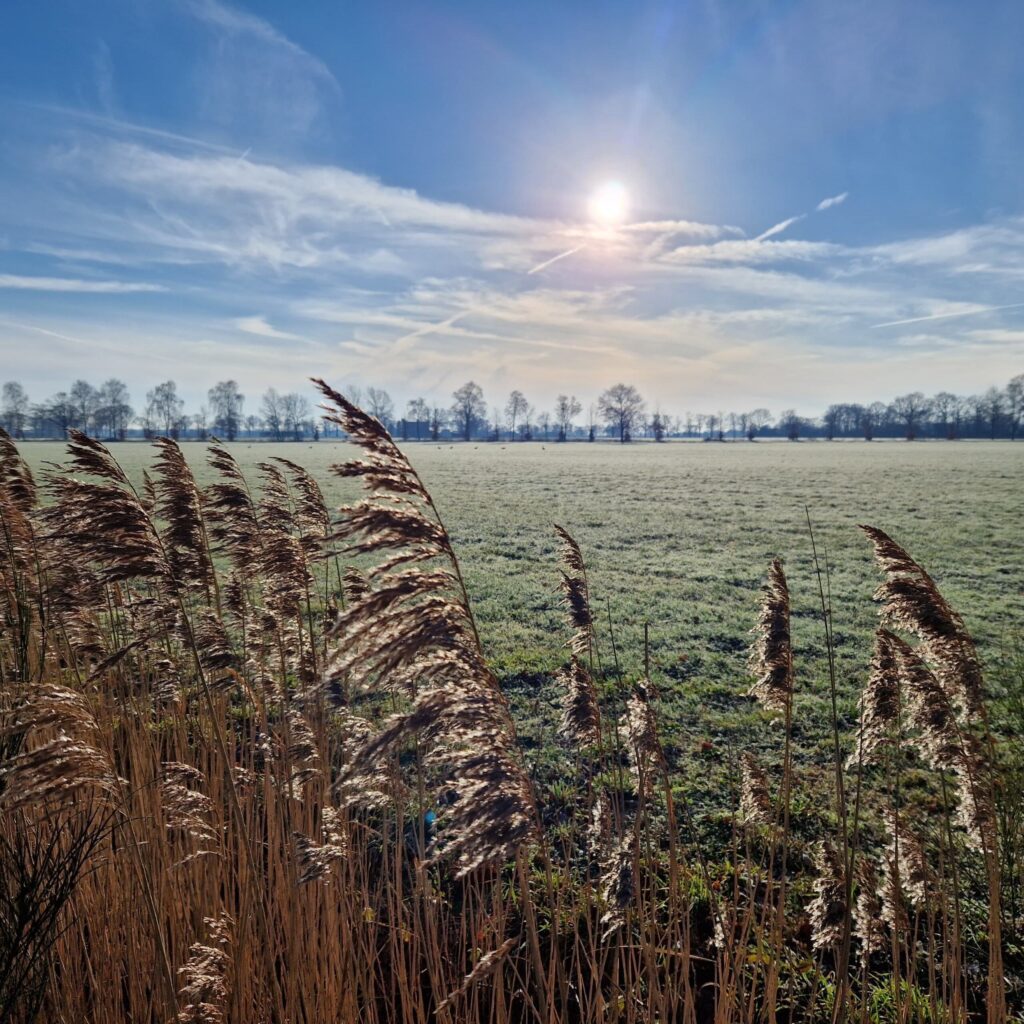 De zon in de Winter in de Achterhoek bij groepsaccommodatie