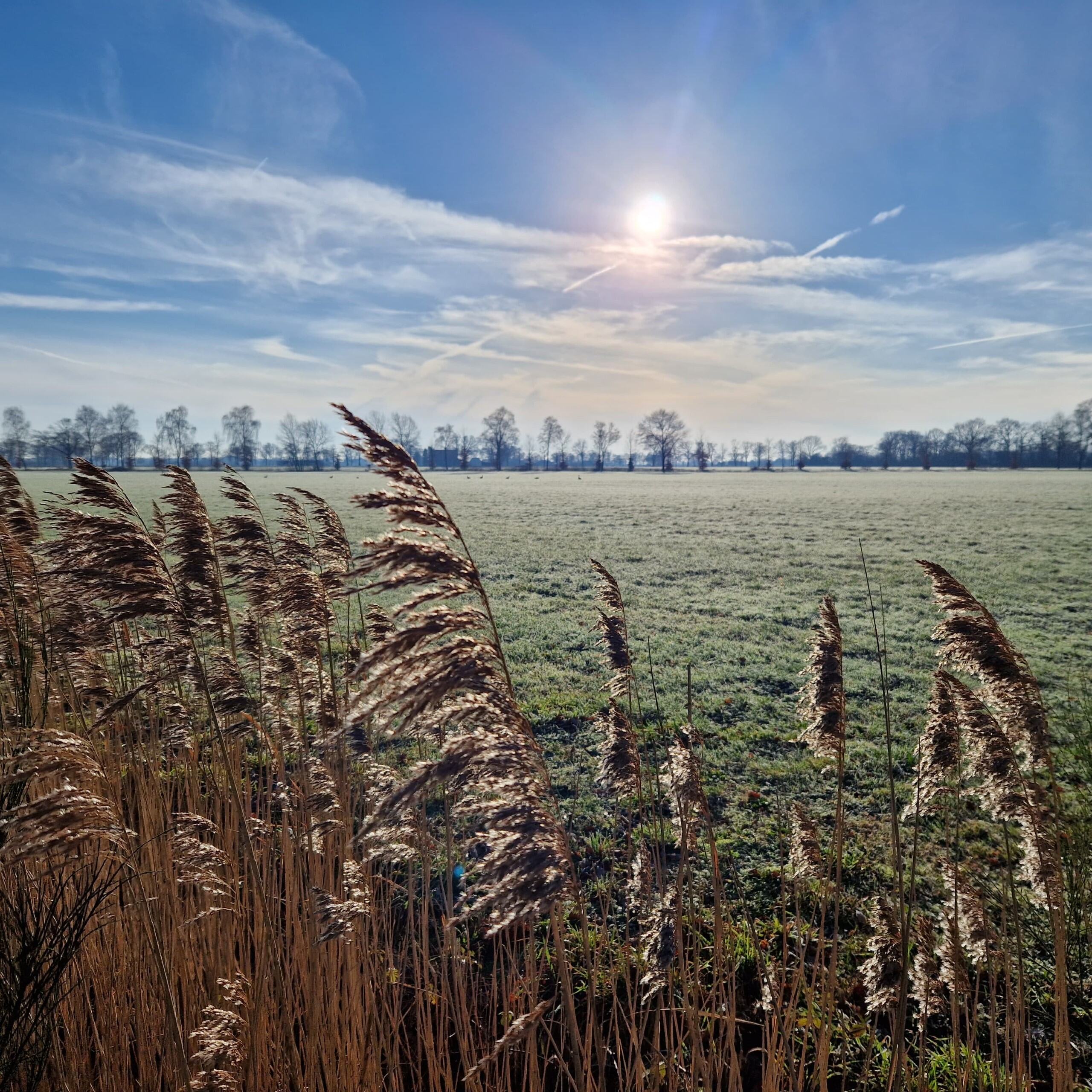 De zon in de Winter in de Achterhoek bij groepsaccommodatie De zon in de Winter in de Achterhoek bij groepsaccommodatie